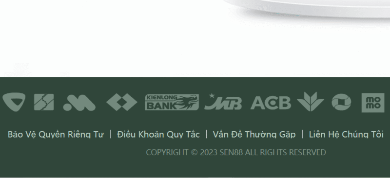 Điều Khoản Sử Dụng Tại Sen88 Có Gì Đặc Biệt?