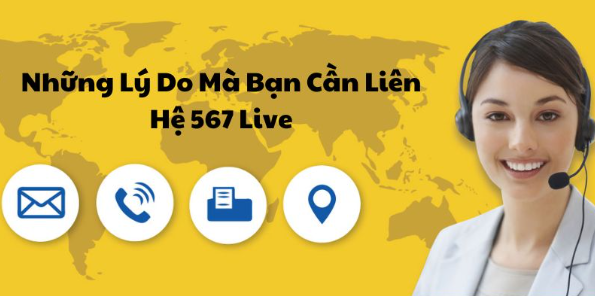 Những lý do bạn cần liên hệ trang web