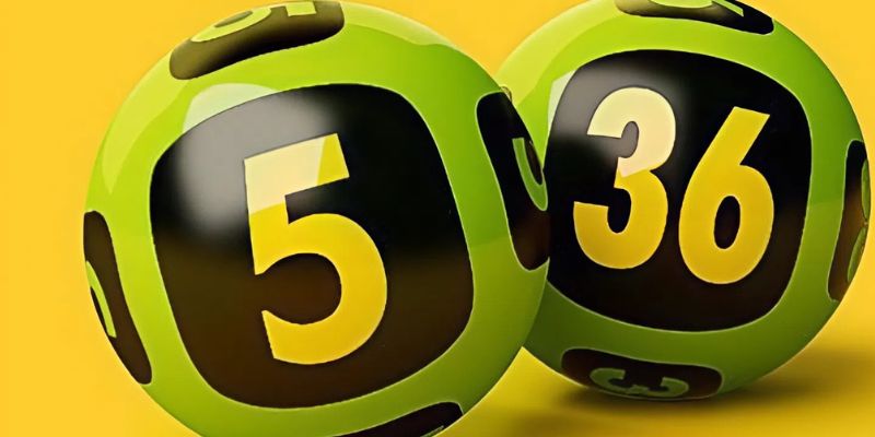 Bí kíp chơi xổ số từ chuyên gia sẽ giúp bạn thắng lớn